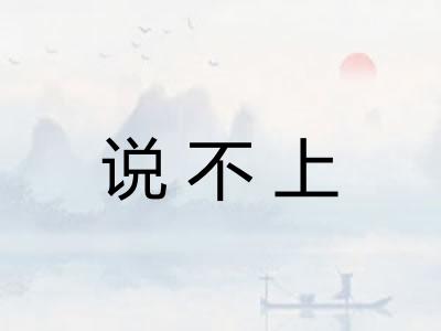 说不上