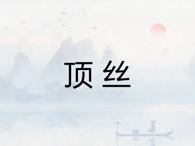 顶丝 顶丝