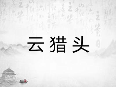 云猎头 云猎头
