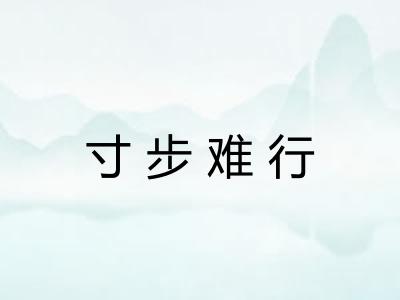 寸步难行 寸步难行