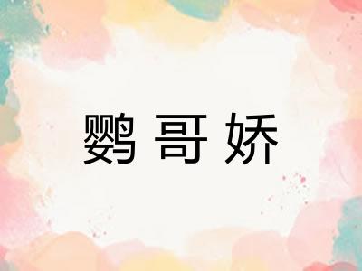 鹦哥娇 鹦哥娇