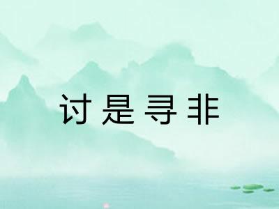 讨是寻非 讨是寻非