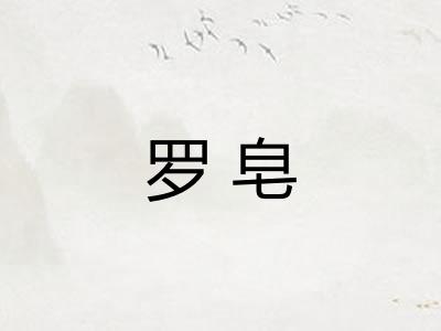 罗皂
