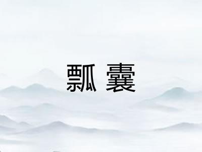 瓢囊