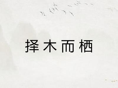 择木而栖 择木而栖